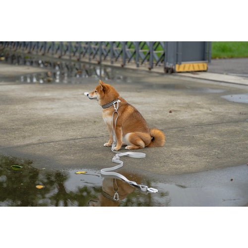TREAT ME 食癒 多功能牽繩(M) Cool Gray