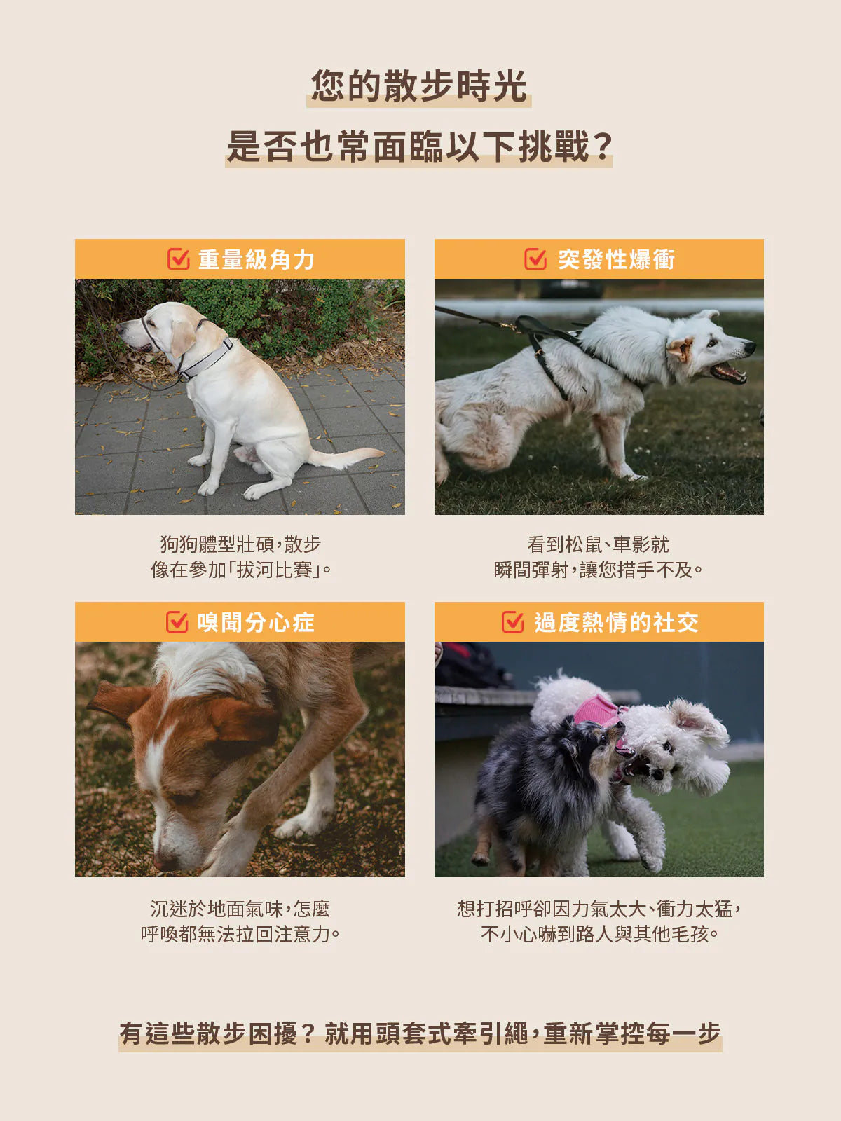 Hipporizz Guido 頭套式牽引繩