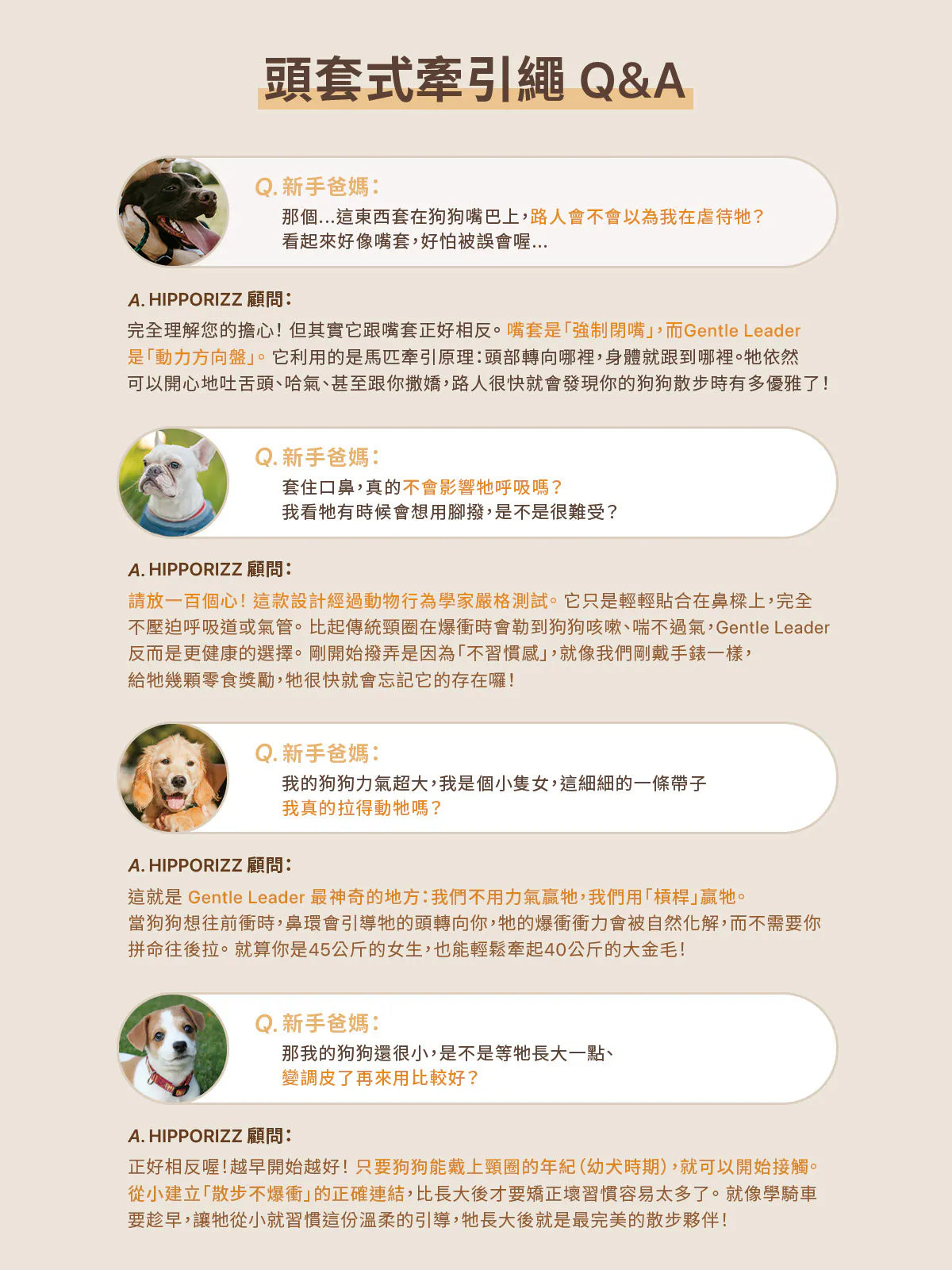 Hipporizz Guido 頭套式牽引繩