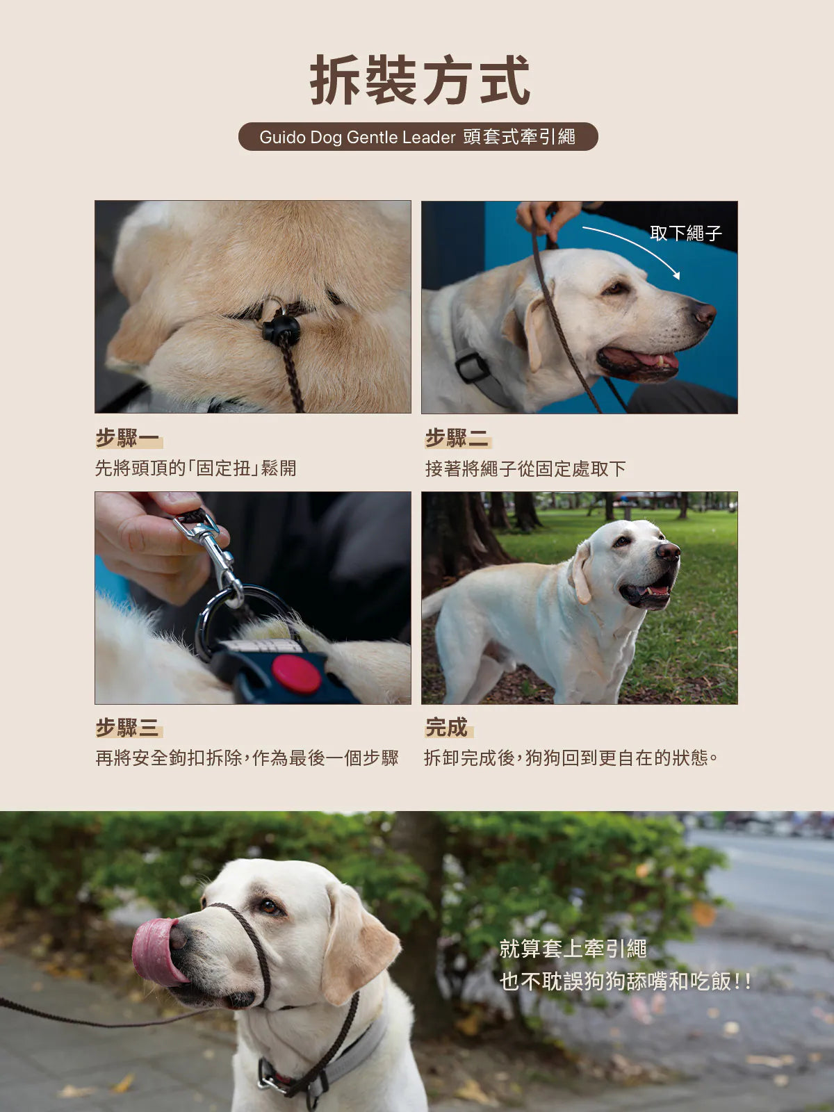 Hipporizz Guido 頭套式牽引繩