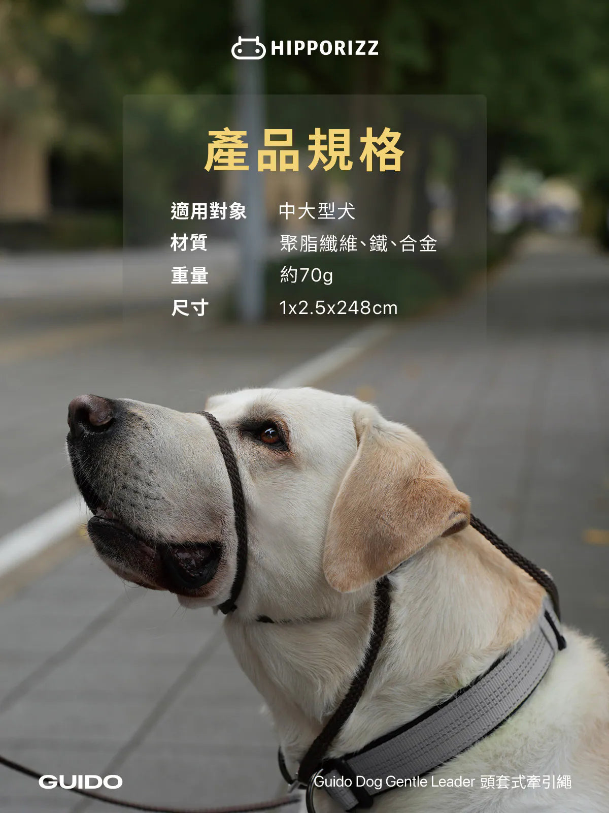 Hipporizz Guido 頭套式牽引繩