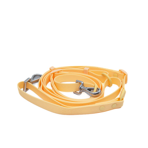 TREAT ME 食癒 多功能牽繩 (S) Custard