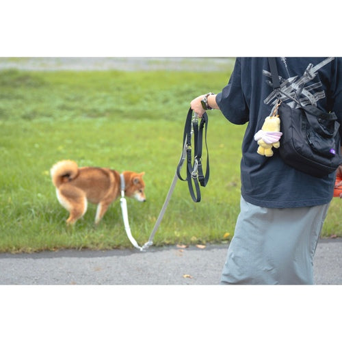 TREAT ME 食癒 多功能牽繩(M) Cool Gray