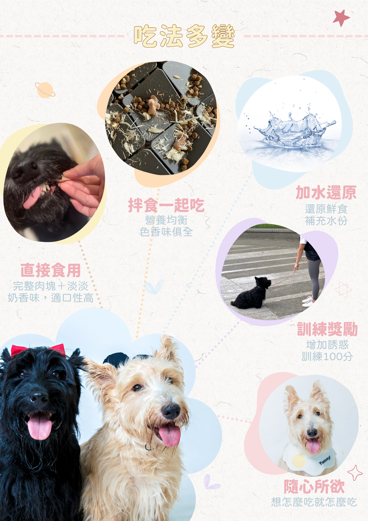 TREAT ME 食癒 海鮮零食大餐*5包 (虱目魚柳*1+蝦仁*1+磷蝦*1+龍珠*1+秋刀魚*1)